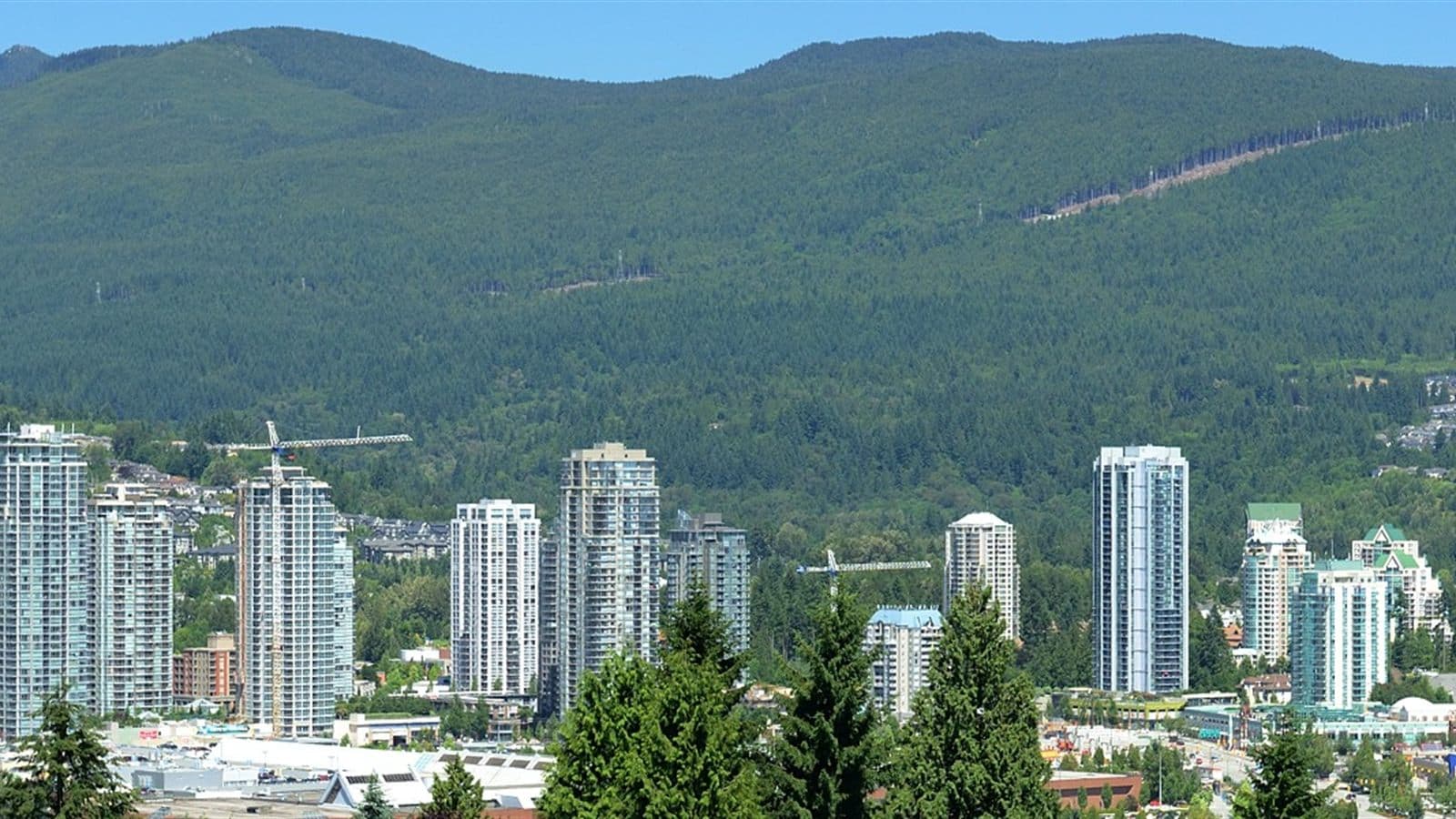 Cleaning service in Coquitlam