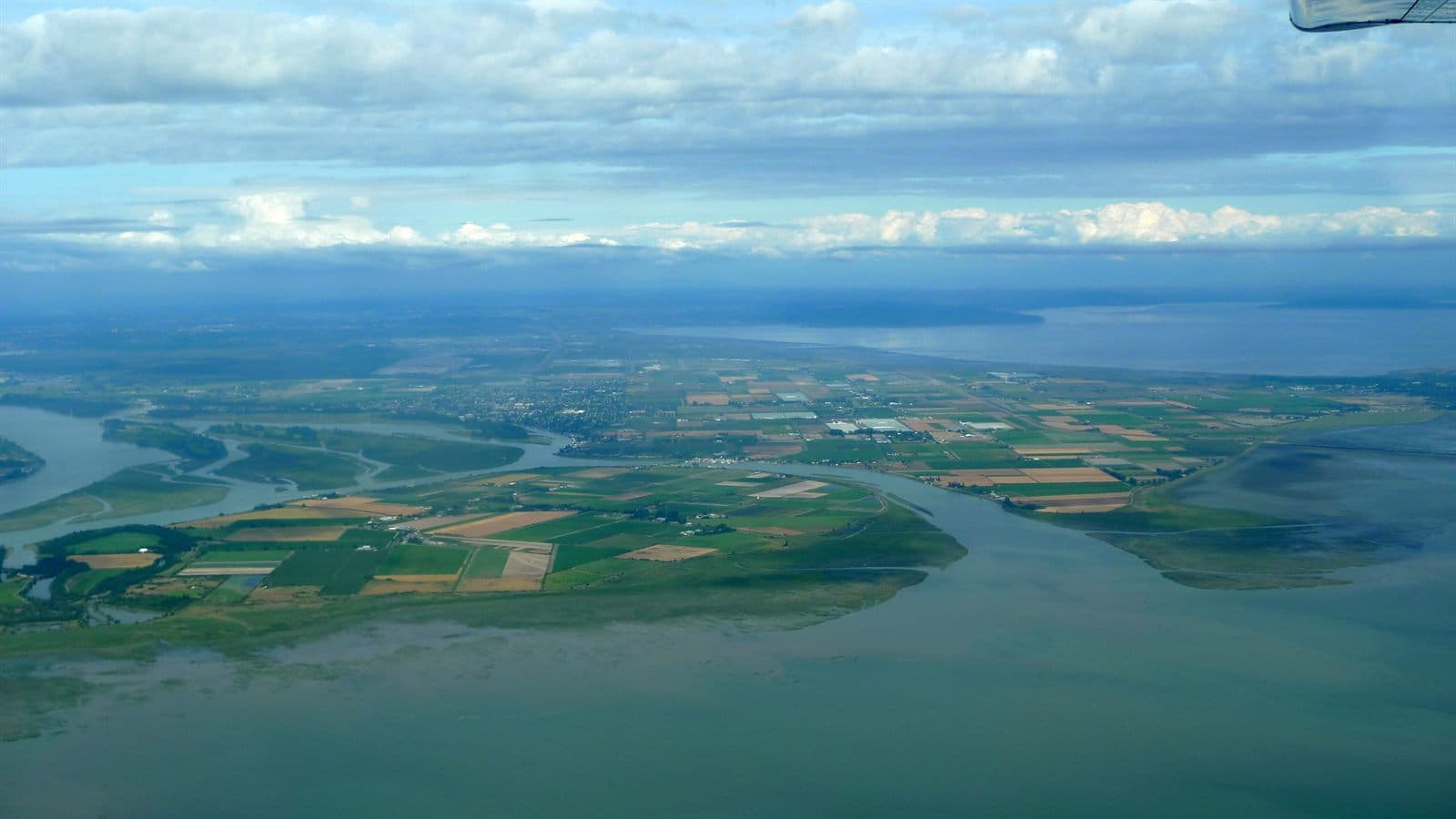 Recurring Cleaning in Delta